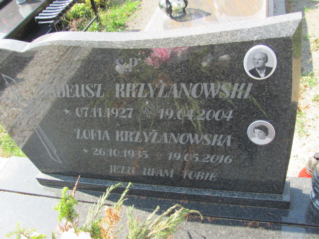 Tadeusz Krzyżanowski 1927 Domaszowice - Grobonet - Wyszukiwarka osób pochowanych